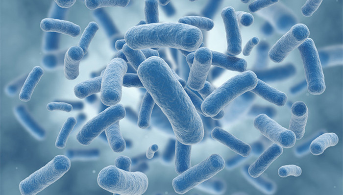 诺如病毒,北京朝阳区