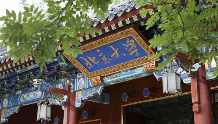 北京大学,国家专项计划