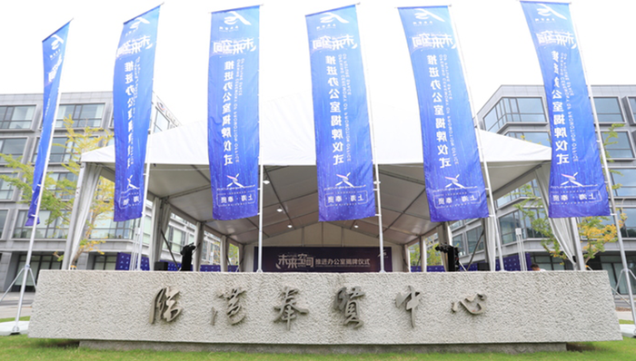 临港,未来空间,空间布局,经济金融,区域经济,智能网,新能源汽车,片区,引擎,新材料