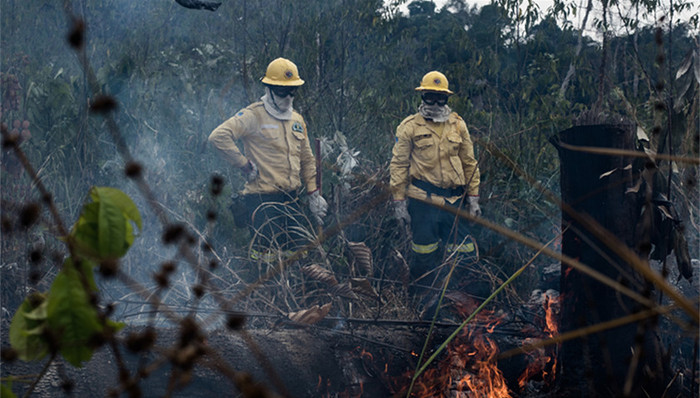 亚马孙雨林大火,G7