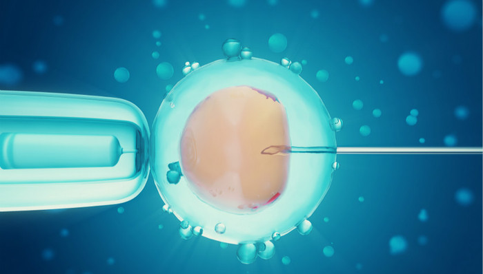 未婚女性“冻卵”争议:辅助生殖手段该不该全面放开?