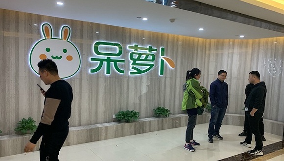 呆萝卜们的教训