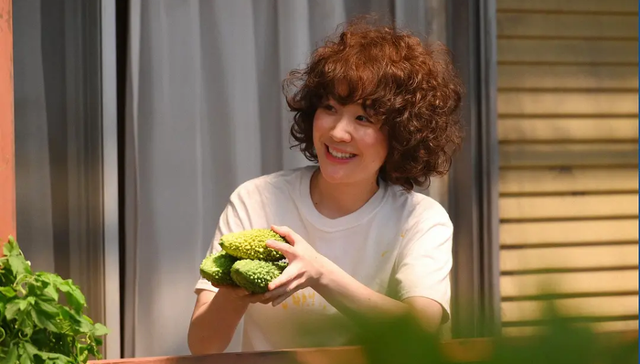 合拍剧,中韩合拍,剧集,流量,完善模式,经典动漫,日版,日中,限韩令,豆瓣