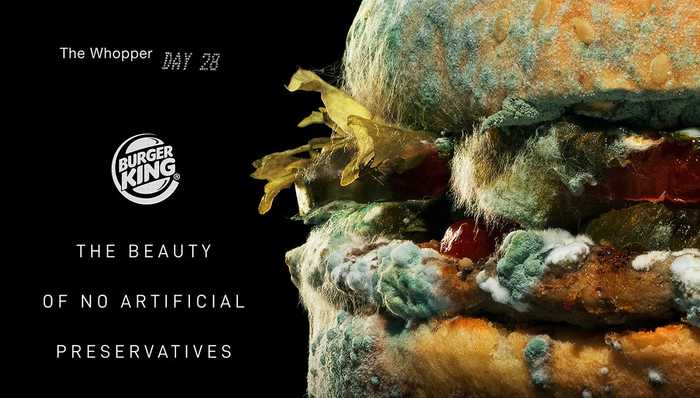 汉堡王的皇堡,发霉了