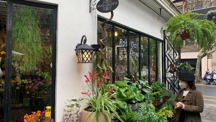 政策,消费,回暖,沪28条,RG鲜花,上海市税务局