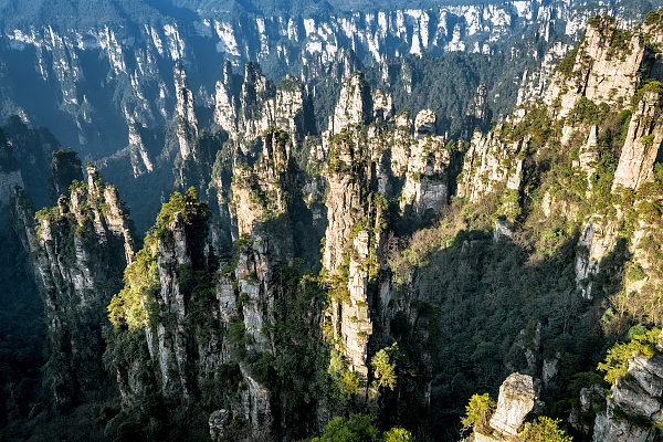 张家界旅游集团原董事长戴名清确认坠亡
