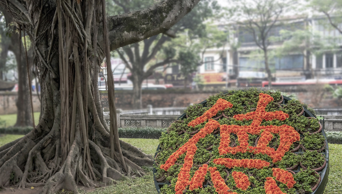 大学,声誉,管理,丑闻,双一流建设,象牙塔