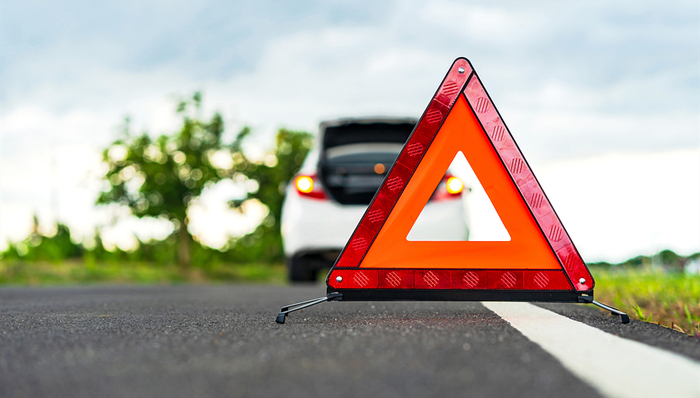 留学生,大学排名