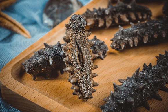 消费者报告 | 海参市场乱象:养殖户撒敌敌畏,销售端产地作假