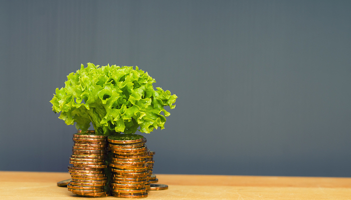 “ 踏空者 ”青青稞酒