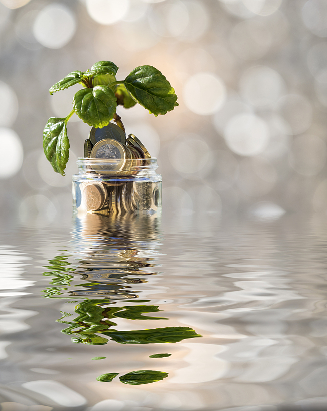 涨价 寡头的游戏?