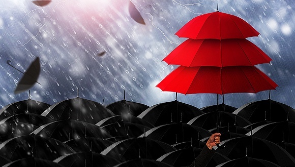 陇桥,土地撂荒,土地征收,产业协作,土地用途,四川巴中,项目招商,项目公司,土地问题,物流园区