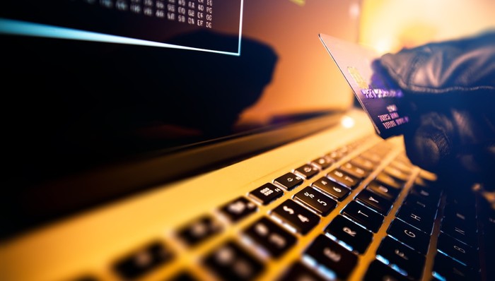 动物世界,动物价值,云养猫,App,故人,价值,一夜暴富,张果,爆笑,微信