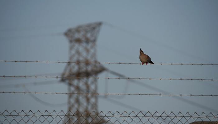 鲍勇剑:疫情之后,小心坚韧力绞杀竞争力