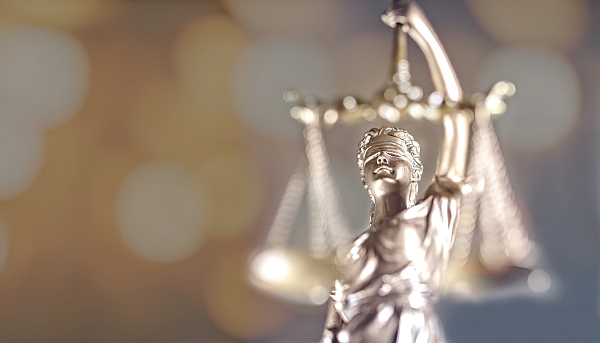 思想武器,政治学,民主党派