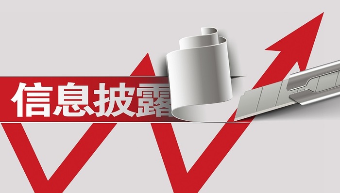 防范“影子股东”,严打突击入股!沪深交易所就IPO信披新规答记者问