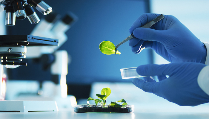 被当做“救命稻草”的细胞疗法,到底能不能拯救癌症患者?