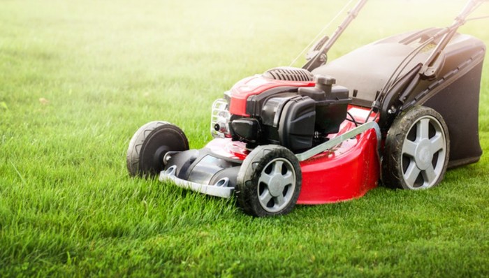 格力博,外贸业务,汇兑损益,行政处罚