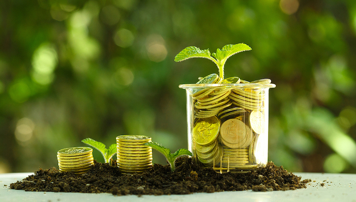 如何把空气变成可交易、收储、贷款的“真金白银”?这个生态大省这样做