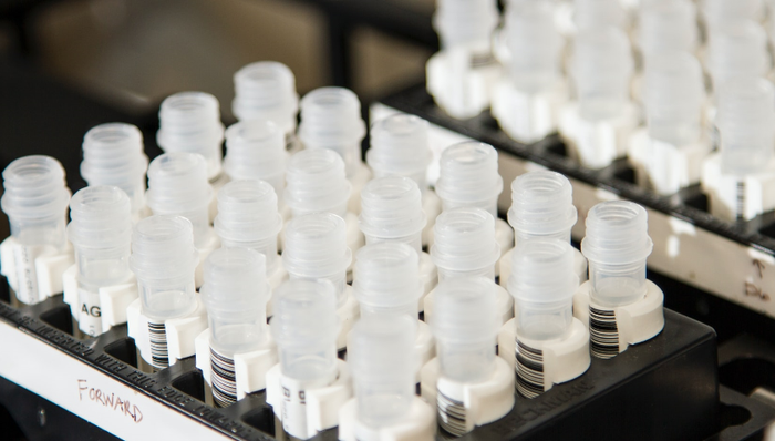 基因质量,和元生物