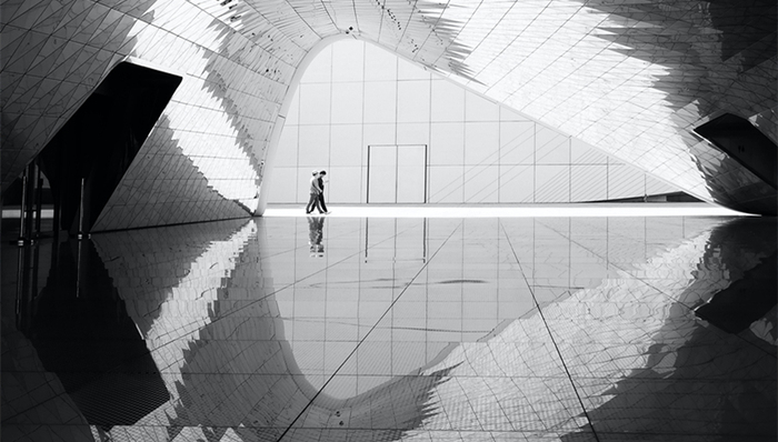 房地产,新力控股,业绩,股价