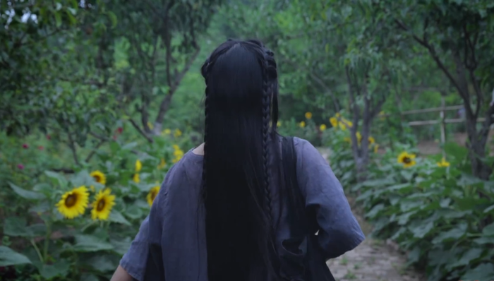 李子柒,利益分配