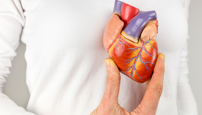 心臟電生理,市場增長,融資,國產(chǎn)化