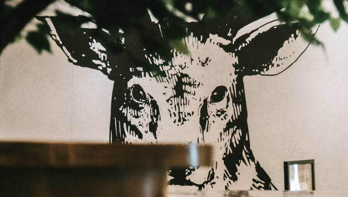 鹿角巷,山寨,餐飲品牌,維權(quán)