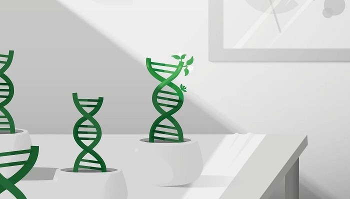 健康,基因,科普