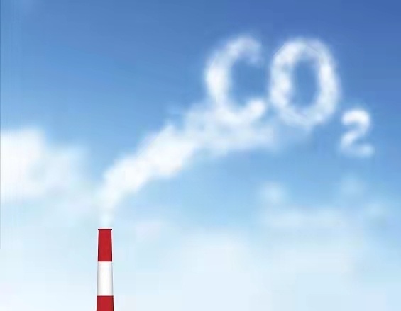 生態(tài)環(huán)境,碳中和