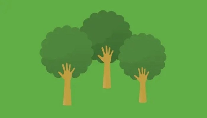 環(huán)保,氣候變化,森林,植物,自然