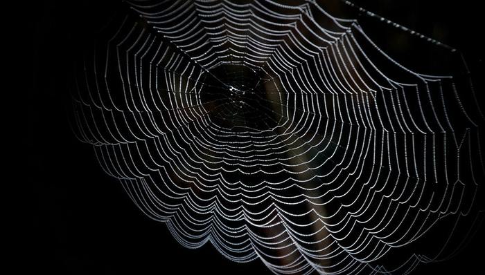 人事變動(dòng),阿里云,競(jìng)爭(zhēng)環(huán)境,云計(jì)算