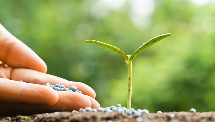 農(nóng)業(yè),漲停