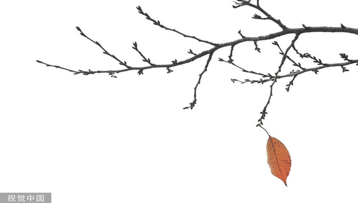 财说 | 好日子到头了?阳光电源的戴维斯双杀