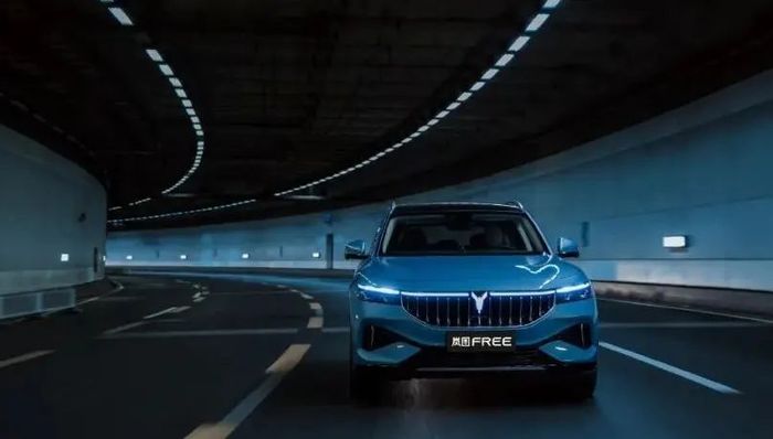 汽車,中國市場,高端市場,東風(fēng),嵐圖,銷量