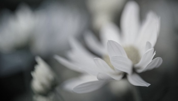 熱點(diǎn)關(guān)注