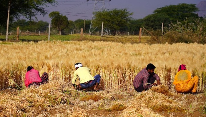 大宗商品,亞洲社會(huì),天下故事