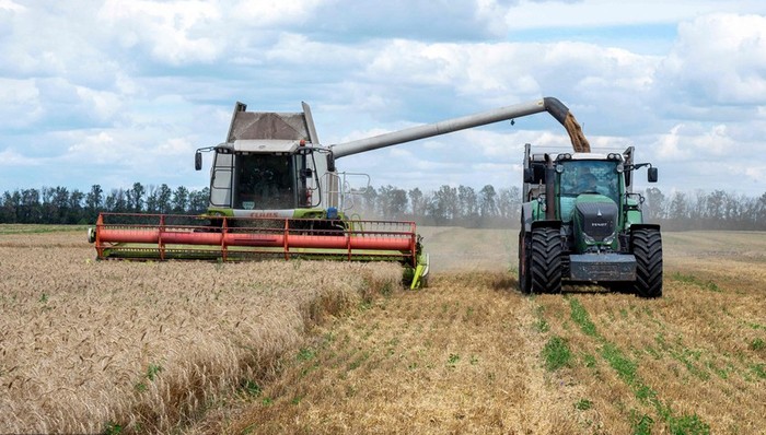 食品價格,聯(lián)合國,小麥,通脹