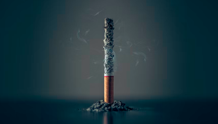 雾芯科技,线下渠道,营收,转型