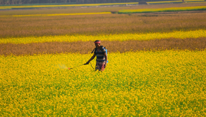 潤豐股份,農(nóng)業(yè),除草劑