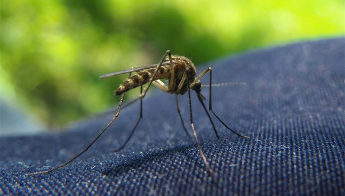 熱點(diǎn)關(guān)注