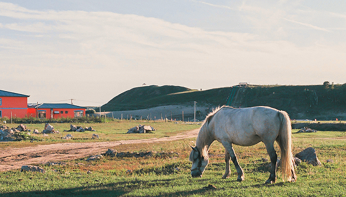 “东数西算”驶入快车道,到底哪些数据适合“西算”?