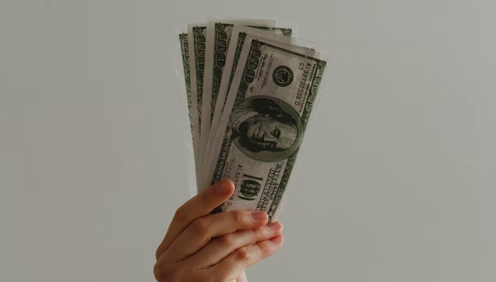 寵物醫(yī)院,投資,擴張,新瑞鵬