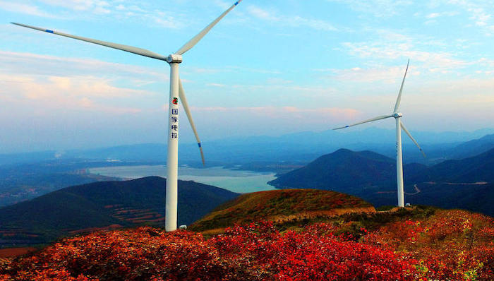 進(jìn)口博覽會,國家電投