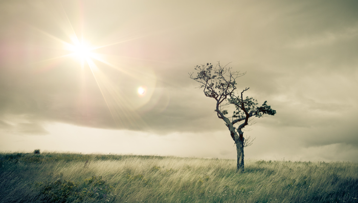 基金经理,中加基金,离任