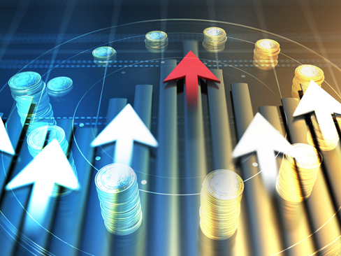 秋乐种业,831087.BJ,申购