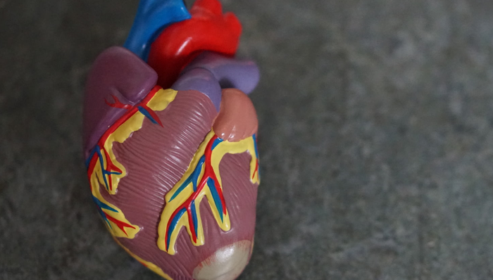 健耕醫(yī)藥,上市,科創(chuàng)板,器官移植