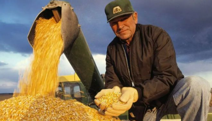 中糧集團(tuán)首購6.8萬噸,中國開啟巴西玉米進(jìn)口