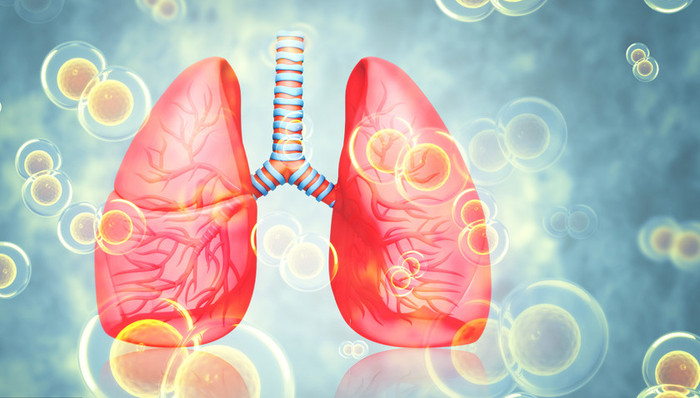 熱點(diǎn)關(guān)注