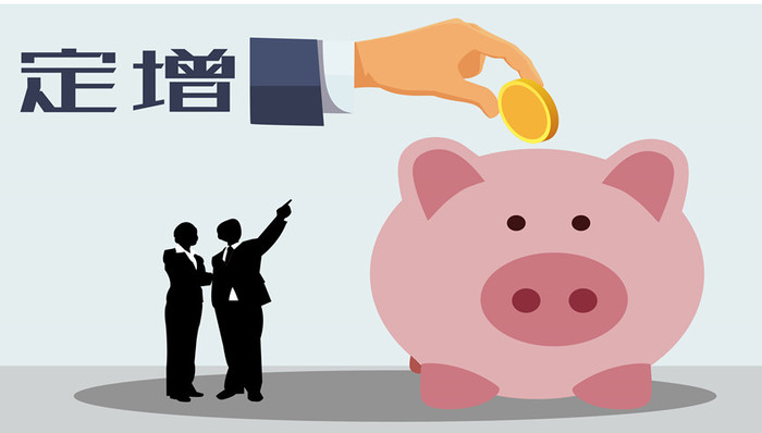 中國鋁業(yè),上市公司,定增